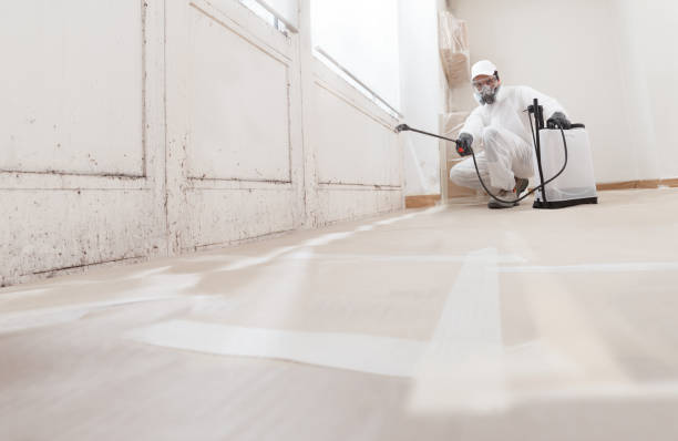 24/7 Emergency Commercial Mold Remediation experts in Chester, VA